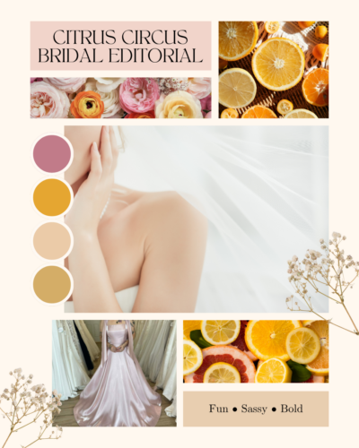 Citrus Circus solo bridal editorial mood board featuring fresh fruits and a pink silk wedding dress for a queer wedding styled shoot at MI Studio Space.