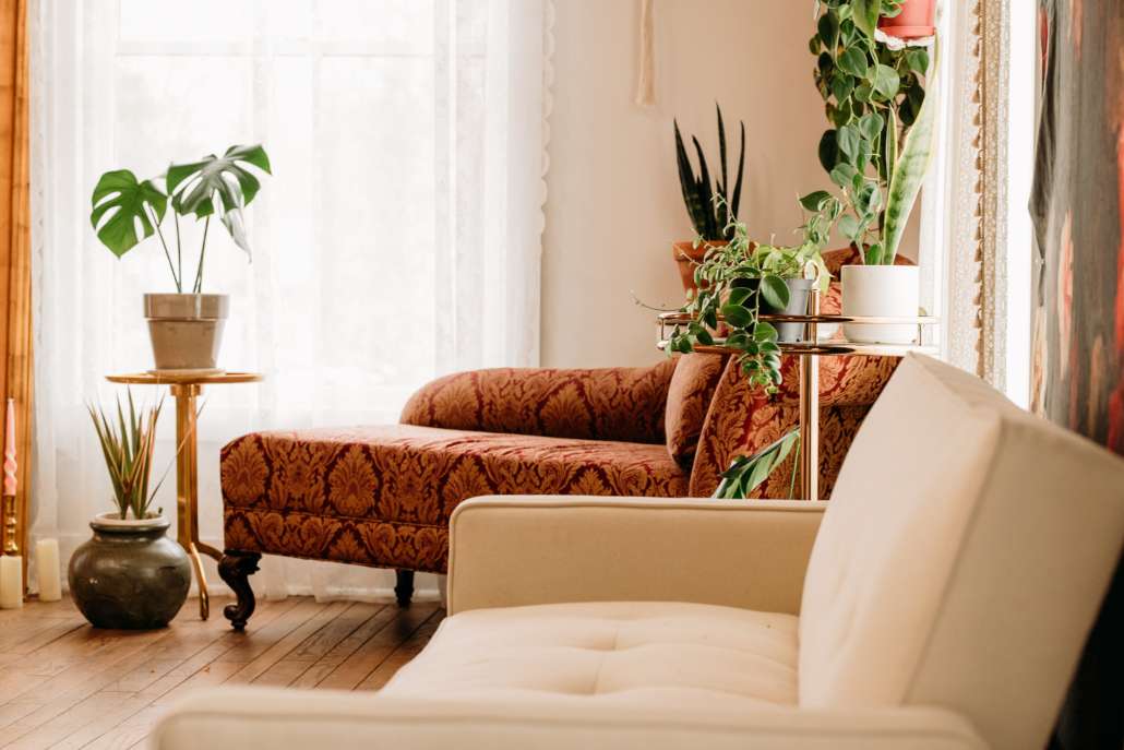 A sun-drenched photography studio interior featuring a cream mid-century modern sofa in the foreground, a rust-colored velvet chaise lounge, and lush potted plants on gold stands over rustic wood floors."