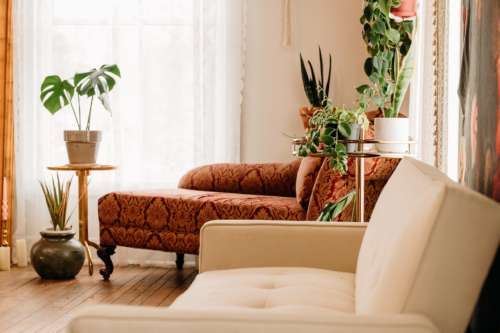 A sun-drenched photography studio interior featuring a cream mid-century modern sofa in the foreground, a rust-colored velvet chaise lounge, and lush potted plants on gold stands over rustic wood floors."