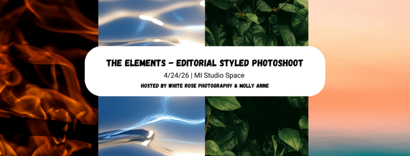 Photography workshop announcement for The Elements Styled Shoot in Michigan, showcasing an editorial aesthetic with water and foliage elements.
